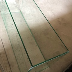 大きな水槽熱帯魚などにの画像