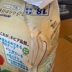 ネピアテンダー　うららか日和　幅広テープ　18枚　Lサイズ　格安！の画像