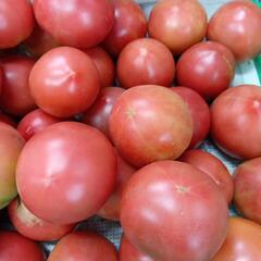 訳あり完熟小玉トマト🍅　4kgの画像