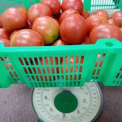 訳あり完熟小玉トマト🍅　4kgの画像