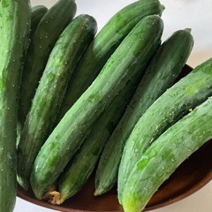 朝採れ新鮮きゅうりの画像