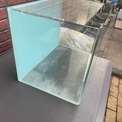コトブキ45センチ水槽の画像