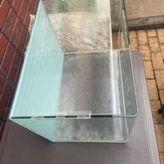 コトブキ45センチ水槽の画像