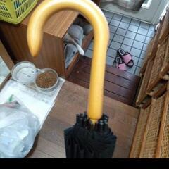 傘まとめての画像