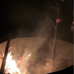 自分の生活から地球環境を良くしませんか⁉️竹チップor竹炭プレゼントします🎁🎋の画像