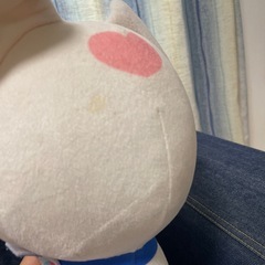 ワンダフルぷりきゅあ　こむぎ　ゆきの画像