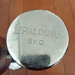 Spaldingのミニ ダンベル5kgの画像