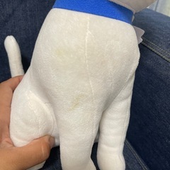 ワンダフルぷりきゅあ　こむぎ　ゆきの画像