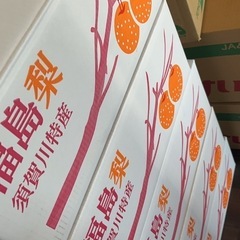福島の梨 幸水梨　8玉の画像
