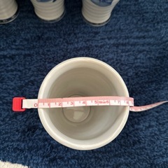 青い葉とぶどうコップ5個セットの画像