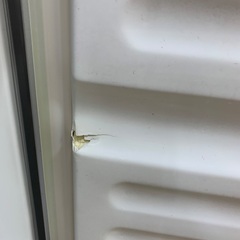 2ドア冷蔵庫の画像