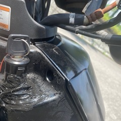デイリン 2スト 50cc 不動
の画像