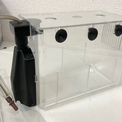 フィルター付産卵箱 ブリーダーボックス 稚魚の養育 隔離の画像