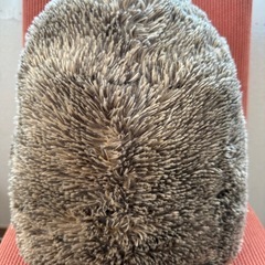 ハリネズミくんの画像