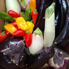 新鮮野菜の画像