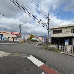 健康麻雀の画像