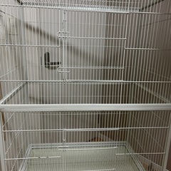 大型　ペットケージの画像