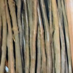 材木イロイロ1の画像