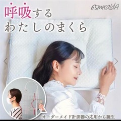 【ほぼ新品】エスメラルダ　枕　の画像