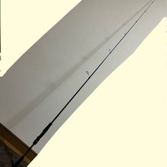 バス釣り ロッド リールDAIWA 2セットの画像
