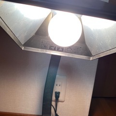 スタンドライトの画像