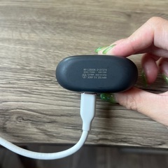 ※壊れてますSONYイヤホンの画像