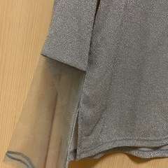 ラメ　袖シアートップスの画像