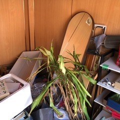 コンテナの中身なんでも差し上げます！の画像
