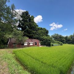 宮城県仙台市太白区坪沼　土地　48万円でお譲りいたします！