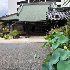 やさしい巡りヨガの画像