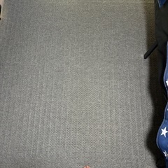 ホットカーペットの画像