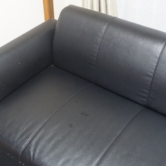 IKEA イケア HEMLINGBY ヘムリングビー 2人掛けソファ 102.950.25の画像