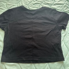 丈短いTシャツの画像