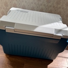 Rubbermaid ビンテージ　クーラーボックスの画像