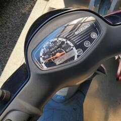 スズキの画像