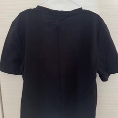 丈短いTシャツの画像