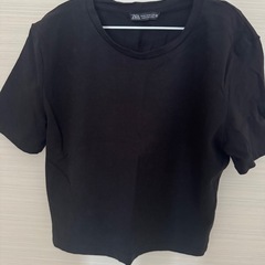 丈短いTシャツの画像