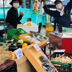 わたちたちと一緒に札幌で農業×観光業楽しみませんか？の画像