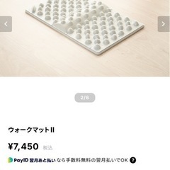 官足法　ウォークマットⅡの画像