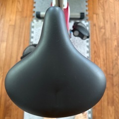 エアロバイク アルインコ fitness pro
の画像