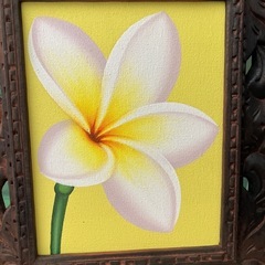 プルメリアの絵2枚セットの画像