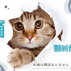 【日勤専属】パソコンで在庫管理・出荷梱包作業も！◎未経験OK／残業なし／特別賞与あり(大津町)の画像