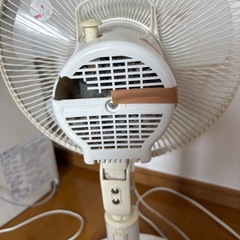 扇風機　簡易清掃済み　動作問題なし　2016年　の画像