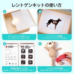 知育 玩具 動物病院の画像