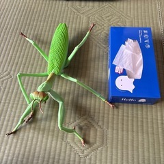 大きいカマキリおもちゃの画像