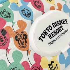 ディズニーランド　ウェットティッシュケースの画像