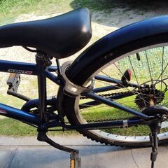自転車すぐ乗れる　小学校中高学年向けの画像