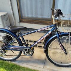 自転車すぐ乗れる　小学校中高学年向けの画像