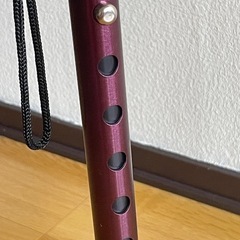 路面も杖棒が立ちます。高さ調査が出来る杖棒ほとんど新品。の画像