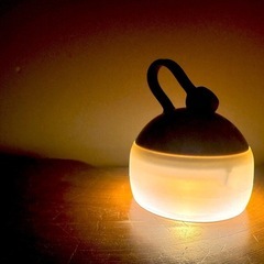 【美品】2021雪峰祭限定品 スノーピーク たねほおずき カーキ の画像